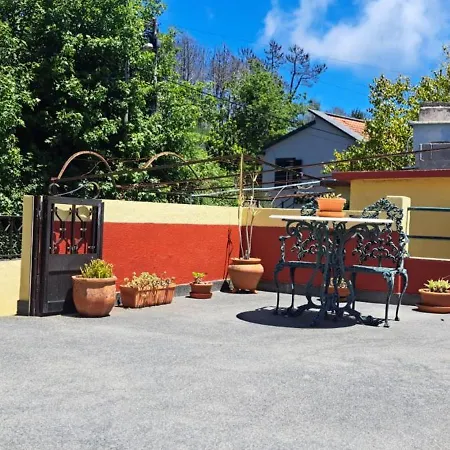 Countryside * קלייטה